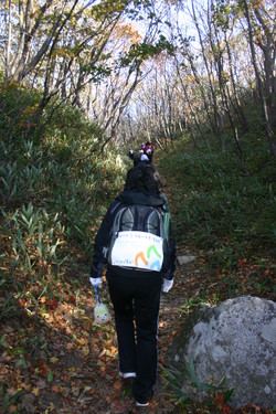 대관령 가는 길