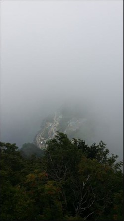 ▲산 정상에서 바라본 울릉도 항구