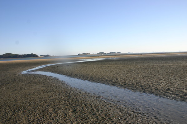 선재도 갯벌