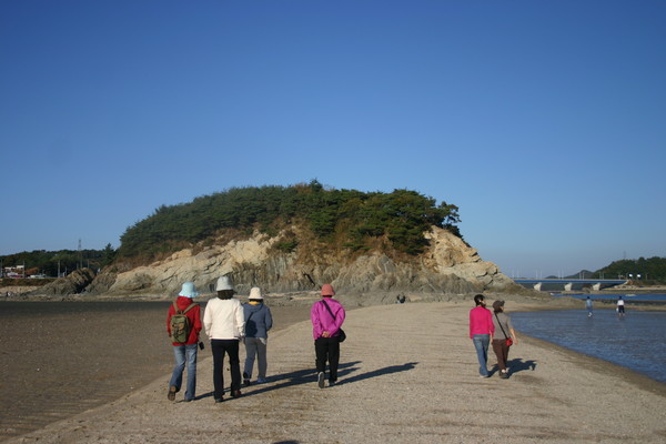 섬으로 연결 된 길