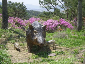 양떼 대신 모형 멧돼지들이 탐방객들을 반기고 있는 모습.