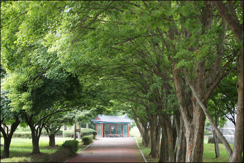 ▲도심 맹꽁이 생태습지로 많이 알려진 오송제 입구.