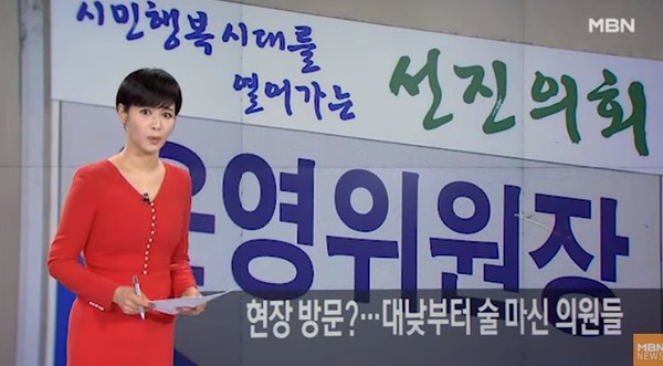 MBN 관련기사(화면캡쳐)