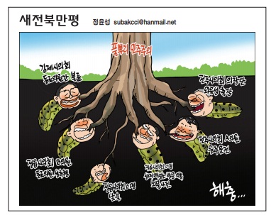 새전북신문 6월 15일 1면 만평