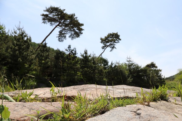           전설이 얽힌 '피바위'