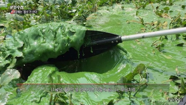 MBC PD수첩 '4대강에는 꼼수가 산다'(화면 캡쳐)