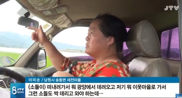 JTV 8월 11일 보도(화면 캡쳐)