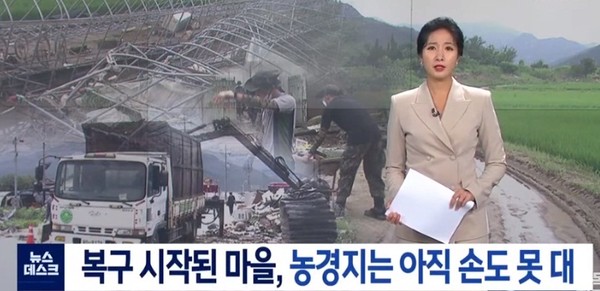 전주MBC 8월 11일 보도(화면 캡쳐)