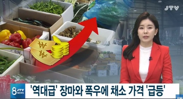 JTV 8월 19일 보도(화면 캡쳐)