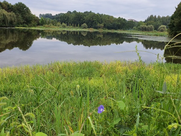 호수에 풍덩 빠진 가을 하늘.