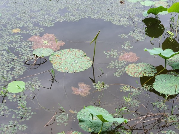 아름다운 퇴장이 이러함인가... 