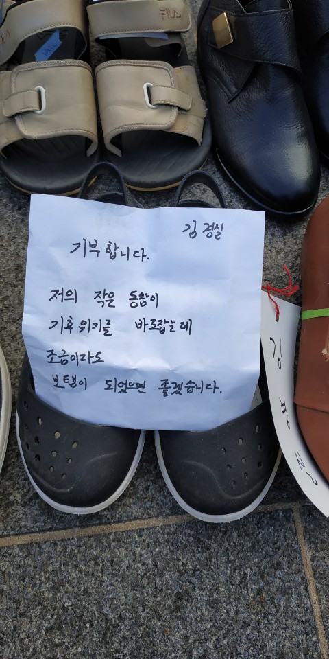 사진=전북녹색연합 제공