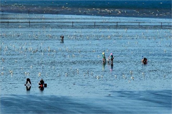 최병성 목사가 공개한 새만금 방조제 인근의 갯벌 풍경 사진 