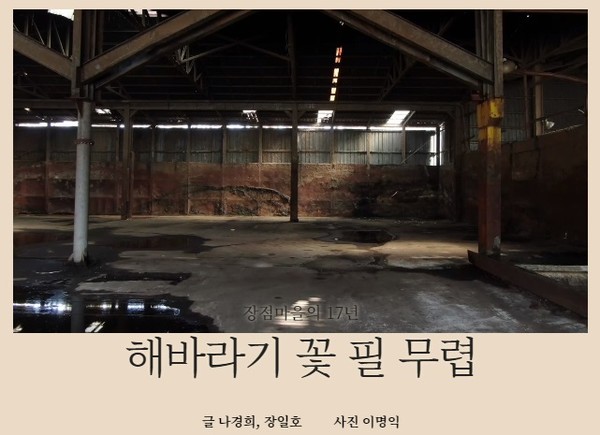 시사IN이 동영상으로 제작한 '해바라기 꽃필 무렵' 화면 캡쳐