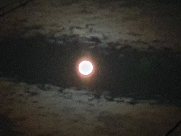 2020년 한가위 보름달(전북의소리)