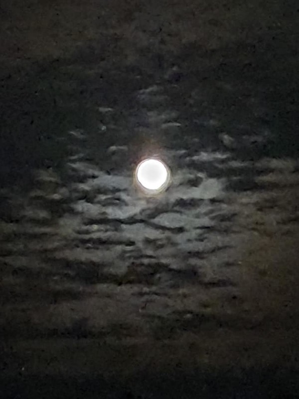 한가위 보름달(전북의소리)