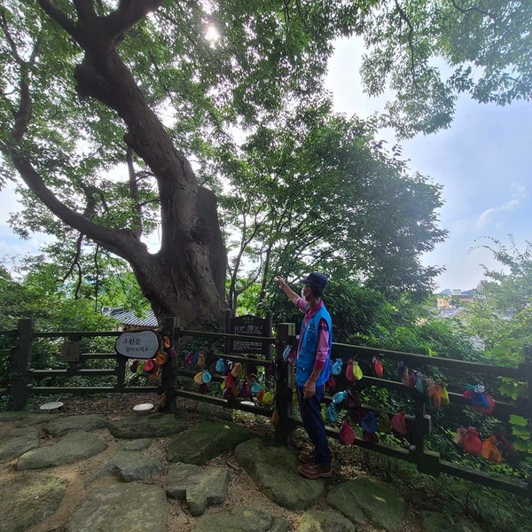  ​​​​​​​한옥마을 당산나무 앞에 선 원국씨