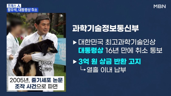 MBN 11월 19일 보도(화면 캡쳐)