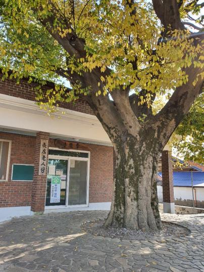 장점마을 노인당 입구.