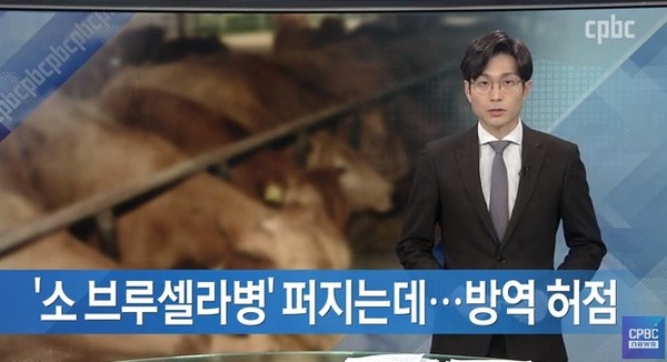 CPBC 가톨릭평화방송 12월 4일 방송 보도(화면 캡쳐)