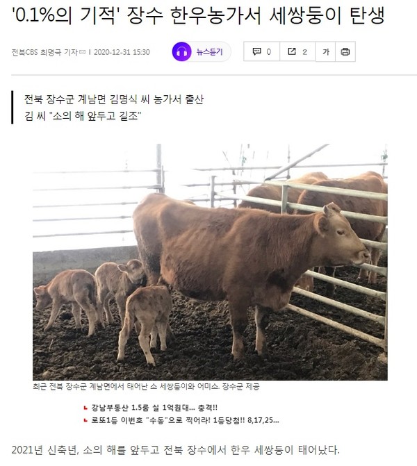 전북CBS 노컷뉴스 12월 31일(홈페이지 갈무리)