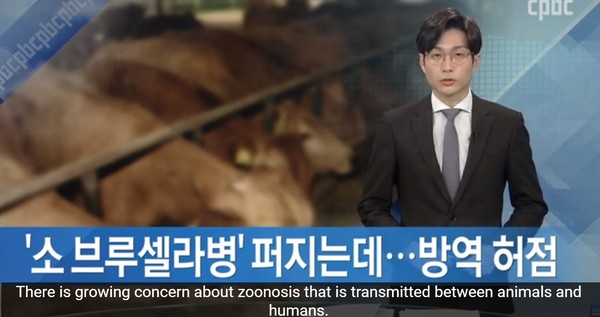 CPBC 가톨릭평화방송 2020년 12월 4일 보도(화면 캡쳐)