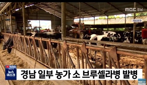 경남MBC 2020년 12월 22일 보도(화면 캡쳐)