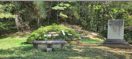 전주시 완산구 중노송동 산 1-3, 기린봉아파트 뒷길 기린봉 초입 인근