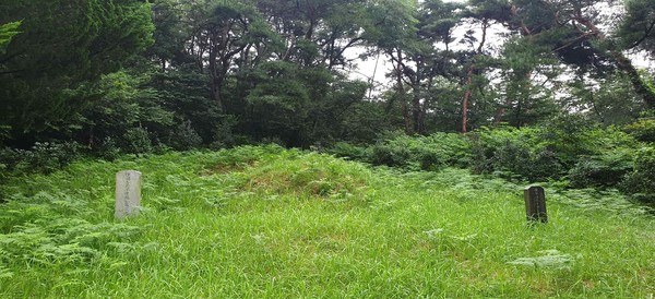 군산시 임피면 축산리 산 16-3