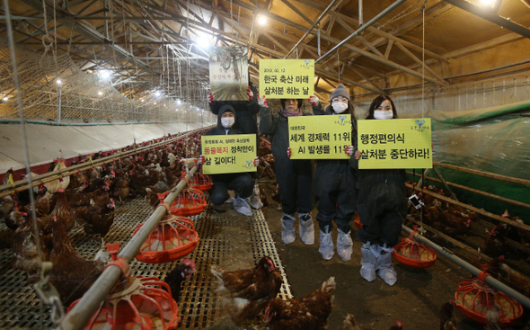 동물자유연대 회원들이 닭 살처분에 반대하는 내용의 손팻말을 든 채 시위를 벌이고 있는 모습.(자료사진)