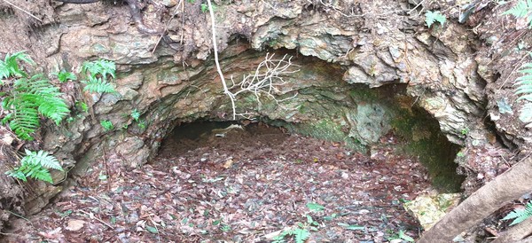 군산시 미룡동 산 240-5 산불감시탑 인근