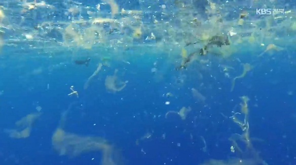 KBS전주총국 3월 30일 보도(화면 캡쳐)