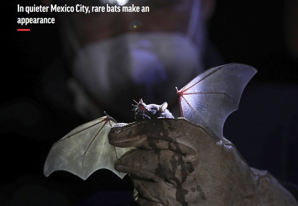 AP Capture(2021.4.1)