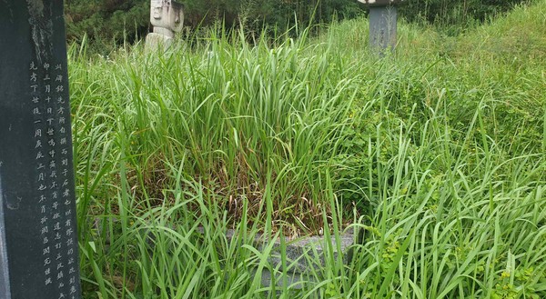 익산시 마동 129-21 