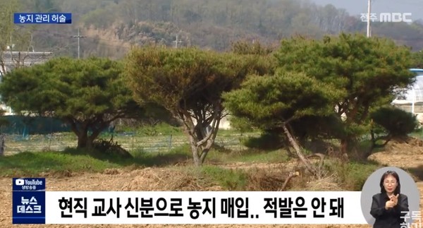 전주MBC 4월 12일 보도(화면 캡쳐)