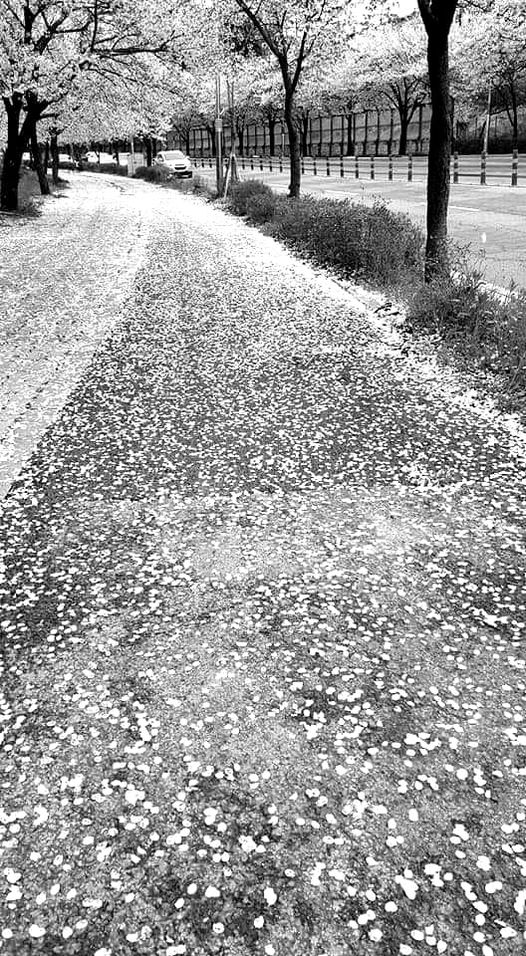 풍경 속에 머문 시간(1)