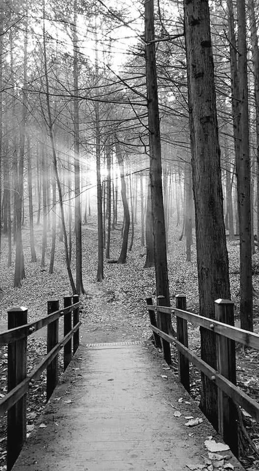 풍경 속에 머문 시간(2)