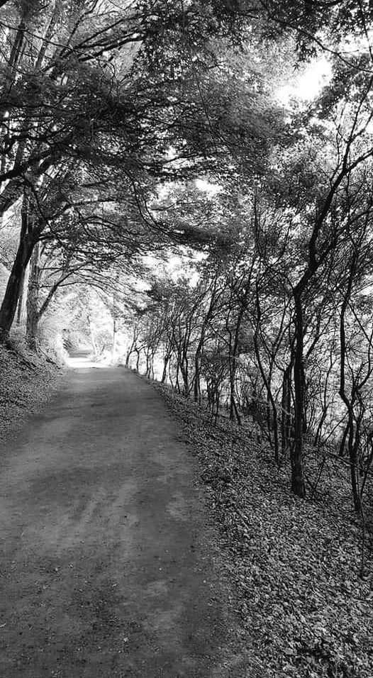 풍경 속에 머문 시간(3)