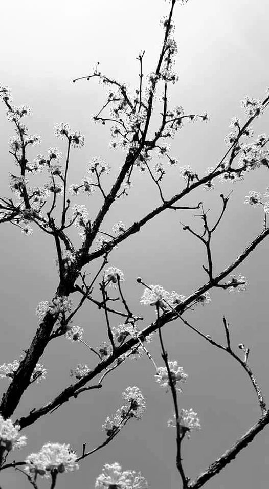 풍경 속에 머문 시간(4)