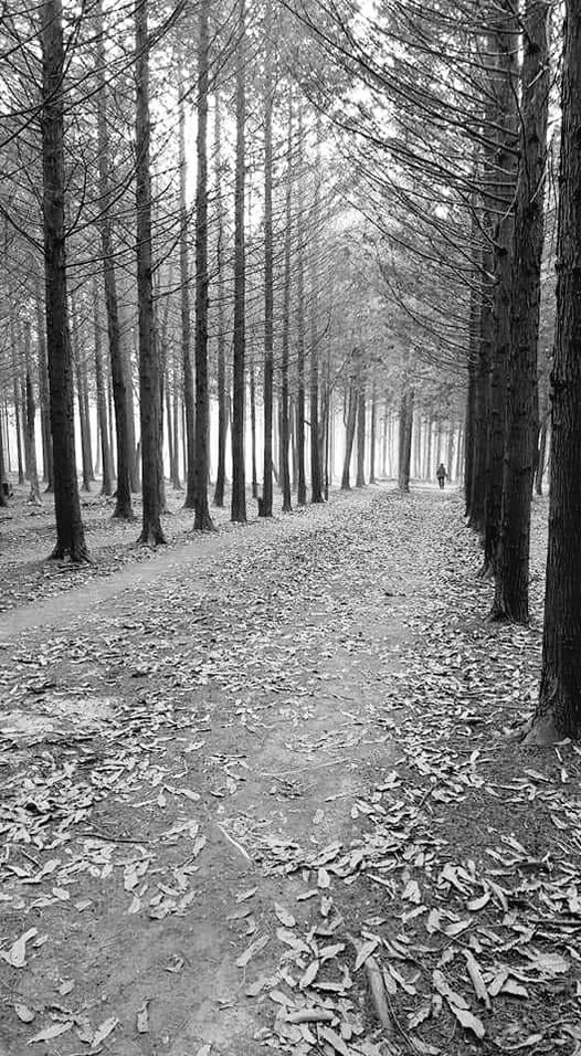 풍경 속에 머문 시간(5)