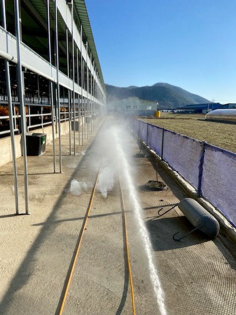 방역을 하고 있는 한우 축산농장.