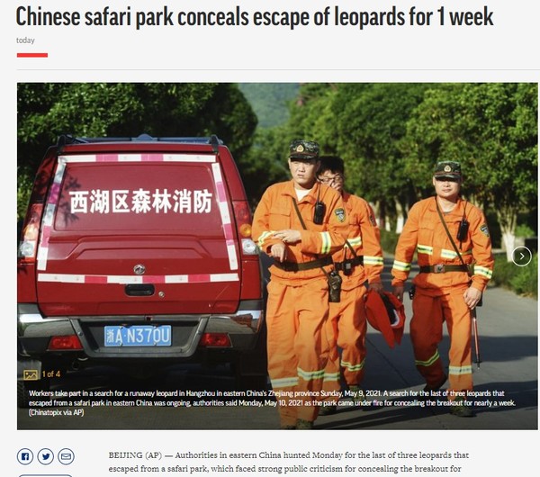 AP, Capture(2021.5.11)