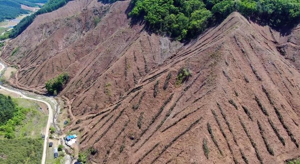 최병성 목사가 페이스북에 올린 사진