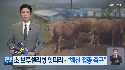 KBS 창원방송총국 5월 5일 보도(화면 캡쳐)