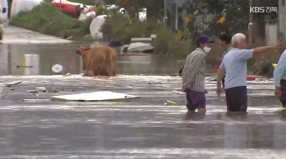 KBS 전주총국 6월 17일 보도(화면 캡쳐)