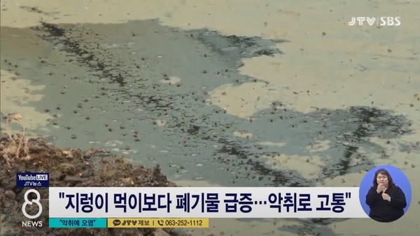 6월 7일 자 JTV전주방송 8 뉴스 보도 화면 편집