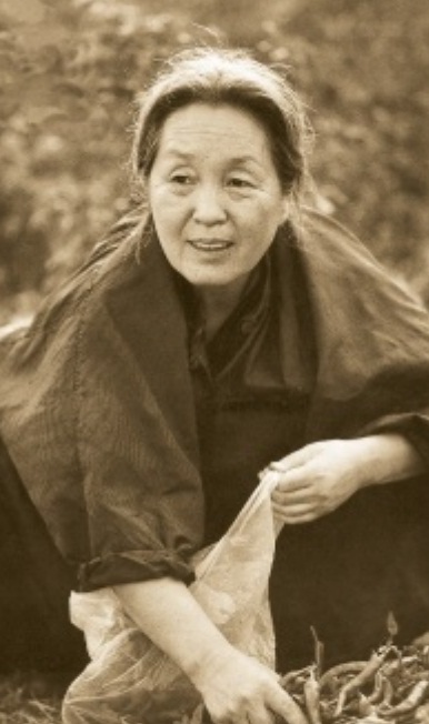 박경리 선생의 생전 모습(자료사진).