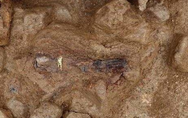 초미금구 출토 당시 모습(문화재청 국립완주문화재연구소 제공)