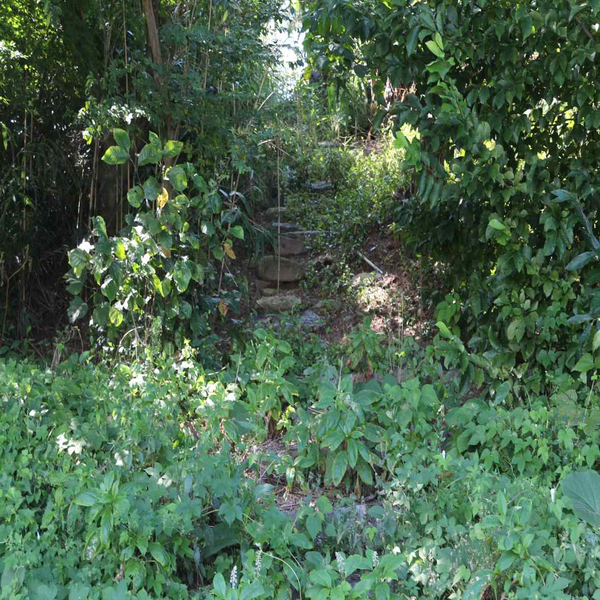                           홍해농장 돌계단 : 고창군 부안면 오산리 195-3(복분자로821-31)