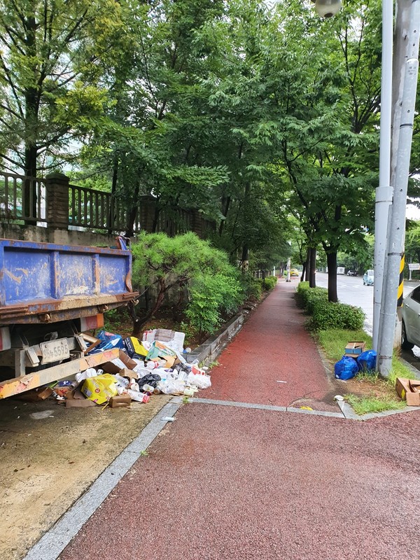 쓰레기로 몸살 앓는 전주시내 공원 주변. 